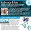Safe Paw Dog & Child & Plant Pet Safe Ice Melt Dog