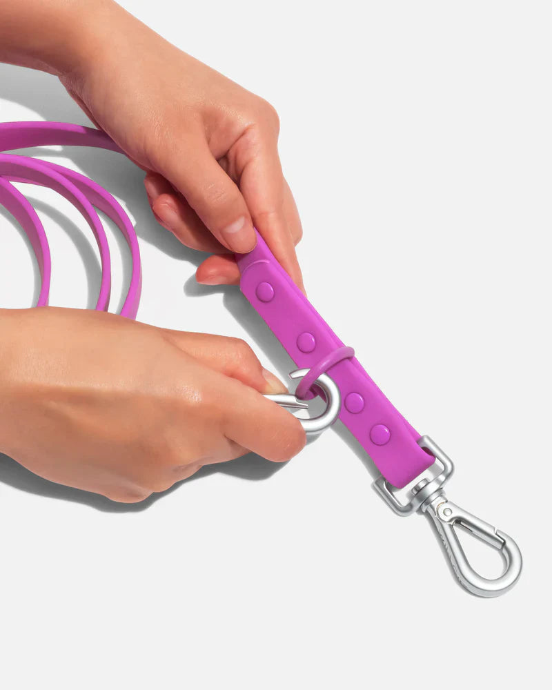 Wild One Leash Standard Dog