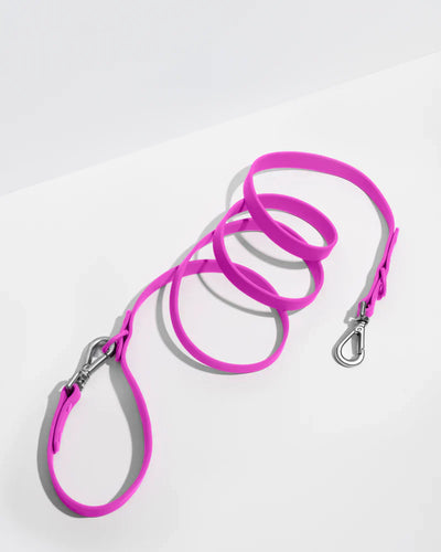 Wild One Leash Standard Dog