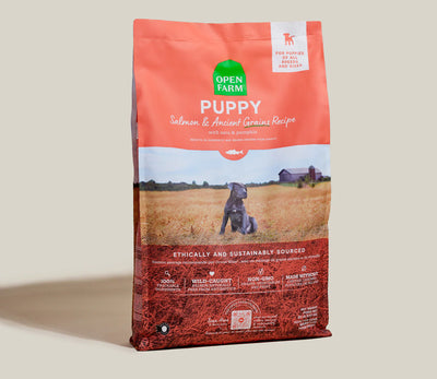 Open Farm Salmon & Ancient Grains Puppy Dog