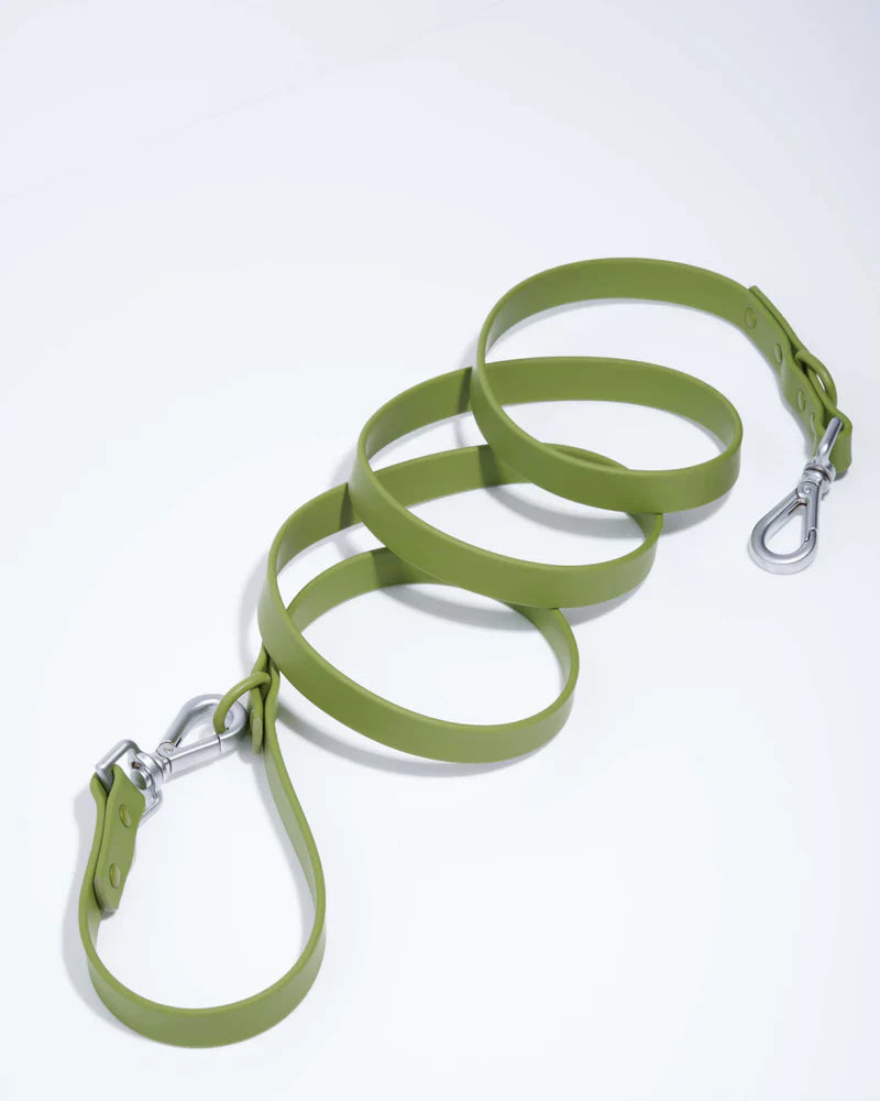 Wild One Leash Standard Dog