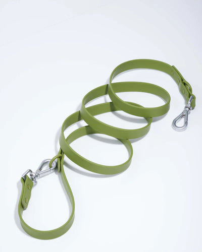 Wild One Leash Standard Dog
