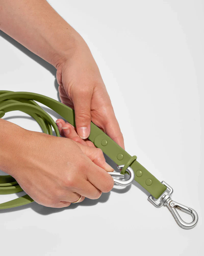 Wild One Leash Standard Dog
