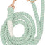 Sassy Woof Rope Leash Dog