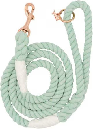 Sassy Woof Rope Leash Dog