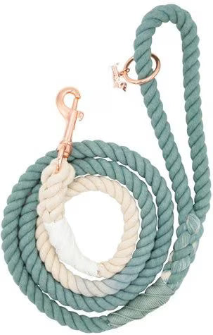 Sassy Woof Rope Leash Dog