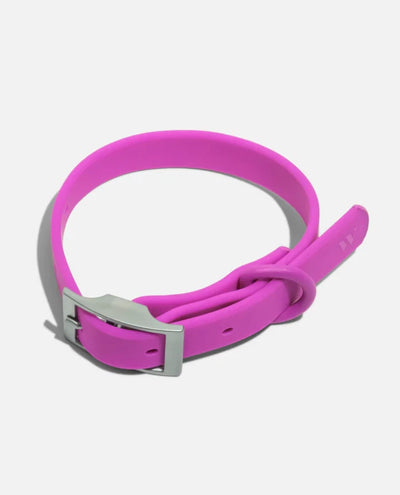Wild One Collar Large Dog